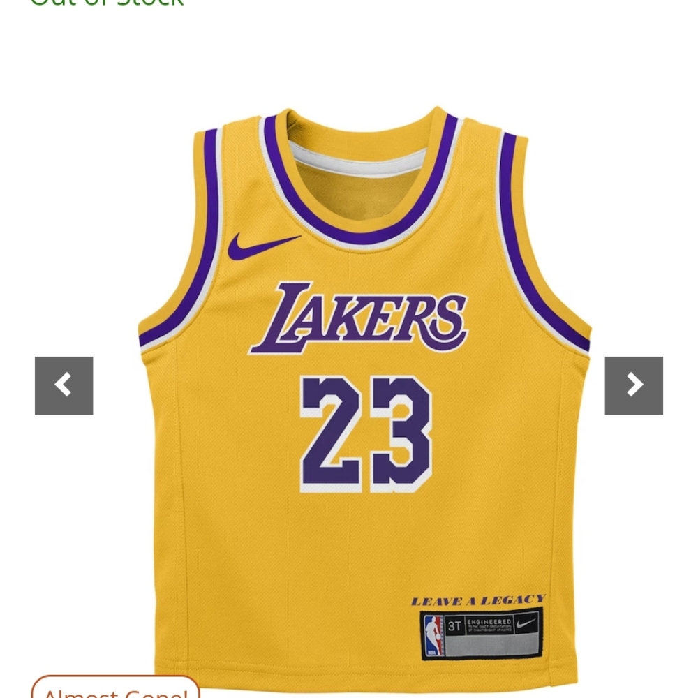 Infant Los Angeles Lakers LeBron James Nike Gold Swingman Player Jersey - Icon E